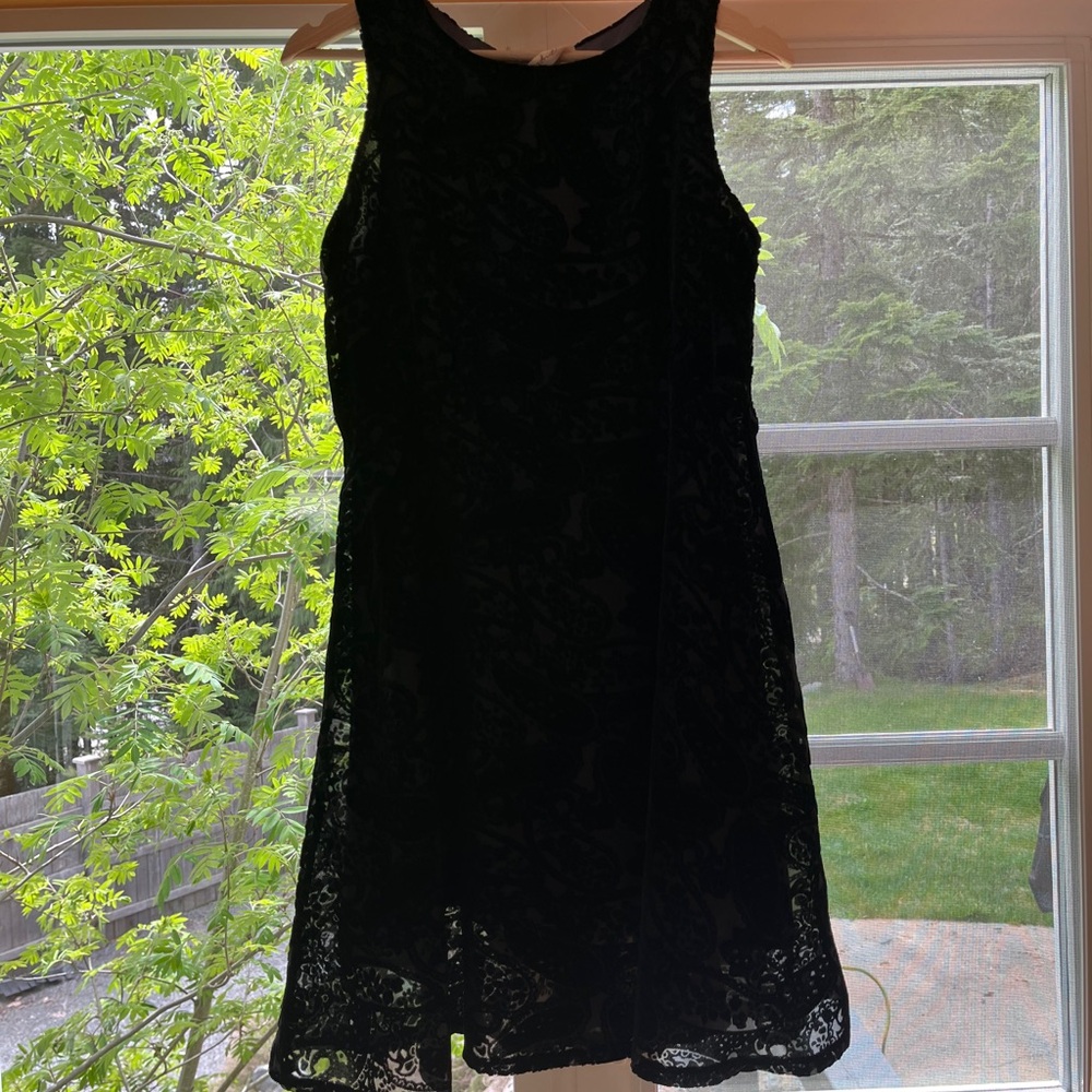 Mystree Black Velvet Lace Dress